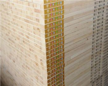 西安木工板裝修污染檢測室內(nèi)空氣是重點(diǎn)